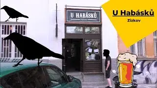 Best Prague Hangout: U Habasku - Zizkov's Coolest Pub?