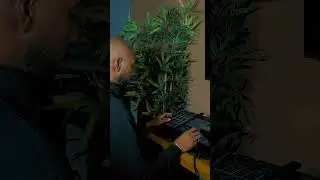 ▶Sampled a 90s RnB track&hellip; #mingsta  #makingbeats #mpclive2