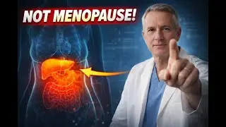 It&rsquo;s Not Menopause: The Hidden Organ Causing Your Belly Fat Science explained by Dr John White