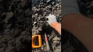 БОДРАЯ НАХОДОЧКА ОНЛАЙН #археология #коп #история  #coin #монеты #монетыимперии #металопоиск