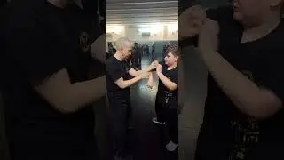 Wing Chun | Lap-da | Lap Sao | dan chi sao #wingchun #samlau #chisao #wingchuntraining #ipman