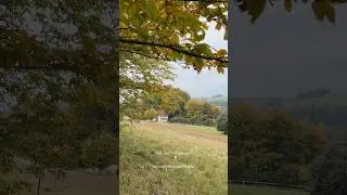 Peaceful Autumn Countryside 🍁 Slow Living & Cosy Home Vlog #slowliving #teatime #autumn