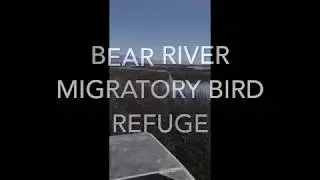 BEAR RIVER MIGRATORY BIRD REFUGE