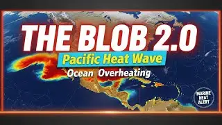 &laquo;Блоб 2.0&raquo;: объяснение масштабной морской тепловой волны в Тихом океане!