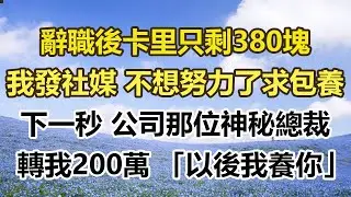 辭職後卡里只剩380塊，我發朋友圈 不想努力了求包養。下一秒 公司那位神秘總裁，轉我200萬 「以後我養你」。#幸福敲門 #為人處世 #生活經驗 #情感故事