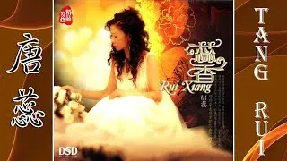梦寐以求 - 唐蕊 - Tang Rui
