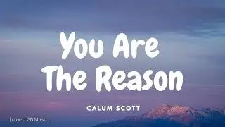 You’re The Reason – Calum Scott (Romantic Piano Cover)