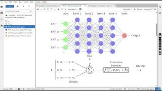 02 Multi Layer Perceptron -  IRIS flower Classification