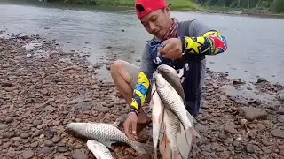 Mancing Hampala‼️Casting Hampala Besar Pakai Minnow Sinking