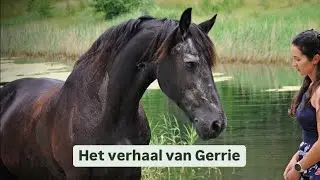 Het verhaal van Gerrie! 🦄🍀