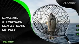 Doradas a Spinning con el Duel LG Vibe - Kali Kunnan