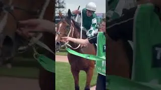 What Did Jmac Say About Via Sistina!? #MelbourneCup