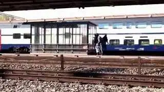 KCBR Swiss Graffitti and Bombing Action 2015
