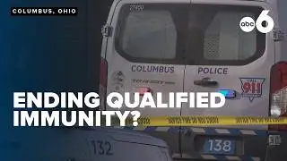 Eliminating qualified immunity for pubic workers one step closer to going before voters