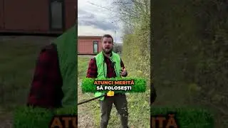 Tunderea gardului viu