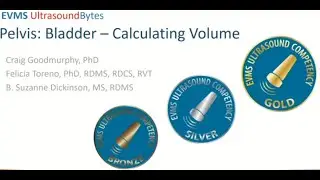 UltrasoundBytes  Pelvis  Bladder   Calculating Volume