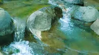 Relaxing Nature Sounds for Sleeping - Natural Calm Forest Waterfall Music Meditation Sound for Study