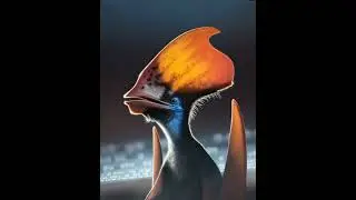 ARK MUSIC SONG
