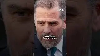 Hunter Biden has reached an agreement with the Justice Department after a 5-year long investigation.