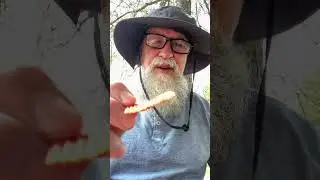 Old Dutch extreme Ketchup ridges potato chips review