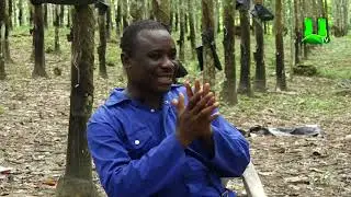 AYEKOO: 2020 NATIONAL BEST FARMER,  PROGRESS SO FAR