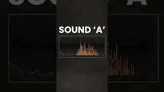 Tube vs Tape Saturation - Can You Hear A Difference?