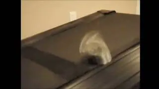 Stayin' A Slinky [Full Song Version]