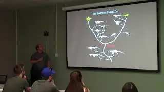 Transformations... the complex evolutionary transition to birds by Dr Corwin Sullivan.