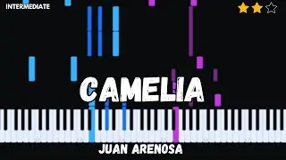 Juan Arenosa-Camelia (Piano Tutorial)