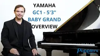 Yamaha GC1 - 5'3