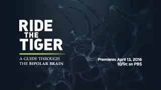 Ride the Tiger Expert Panel Discussion - 3/30/16