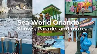 SeaWorld Orlando | Shows and Parade