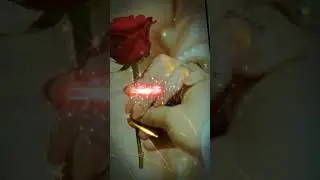 Rose Day Status 2026 🌹 | Romantic Love Status | Happy Rose Day Rose Day Shayari | Valentine Week