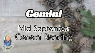 GEMINI 🌪LIVING THE DREAM ~ Mid September 2020