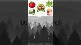 why Rotten Tomatoes is broken #rottentomatoes #review #opinion