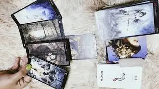 Monthly love reading (🦁 Leo) July2021 #zodiacreadingmyaar