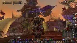 hitting level 60 on my HC Warrior - Turtle WoW