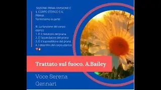 Prana planetario. Prana delle forme. III. La funzione del corpo eterico