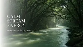 Healing Forest Ambience with Gentle Water Flow for Sleep Meditation Focus Inner Peace and Relaxation