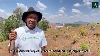 Plantation Drive in Madagascar | Allegiance for Earth
