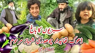Vegetables garden || dhok late ch shabaz || garden owner late ch fiaz || Gardener m alyas pathan