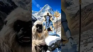 Yeti in the Himalayas #yeti. #shiv