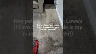 rent a rug doctor and save money! also grab some Nep cleaner from lowes!