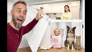 BEST Retractable Baby Gate for Doorway?