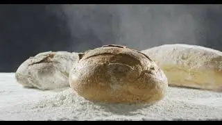 Discover the Art of Sourdough: A Taste Journey with Oz Bakery