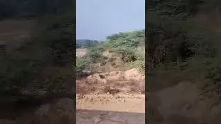 Chambal ka isi beehad me rahti thi Phoolan Devi. Bhind MP. #chambal #mp #phoolandevi #travel