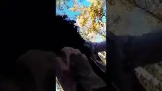Клоун такой же сильный как Антон