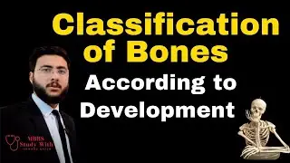 Classification of Bones According to development