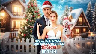 Noel i&ccedil;in evsiz bir milyarder eş buldum [B&ouml;l. 1-14] | ReelShort