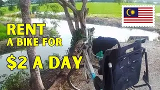 Balik Pulau Penang | Rice Fields | Rent a Bike for $2 a Day!